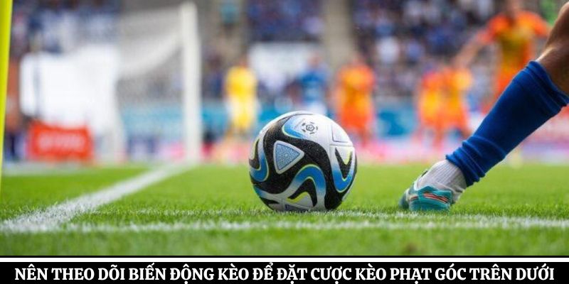 Nên theo dõi biến động kèo để đặt cược kèo phạt góc trên dưới hợp lý