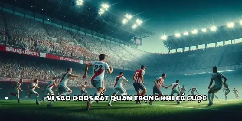 Odds Là Gì? Phân Tích Chi Tiết Và Cách Tính Tiền Chuẩn